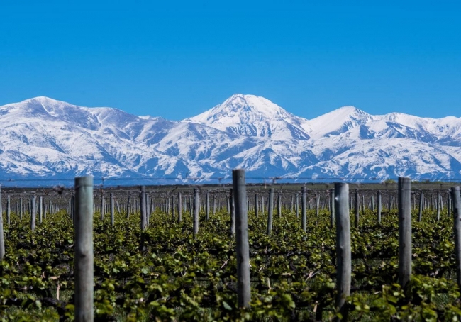 MENDOZA 08 DE FEBRERO DESDE ROSARIO