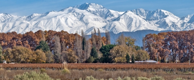 MENDOZA 08 DE FEBRERO DESDE ROSARIO