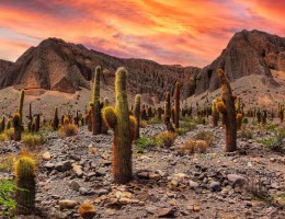 Salta- Salida 12 de noviembre 